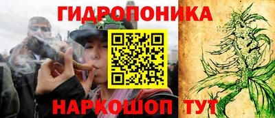 дживик Дубна