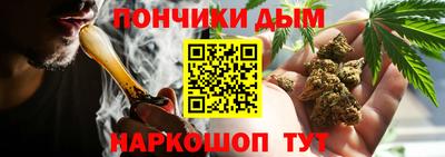 дурь Заводоуковск