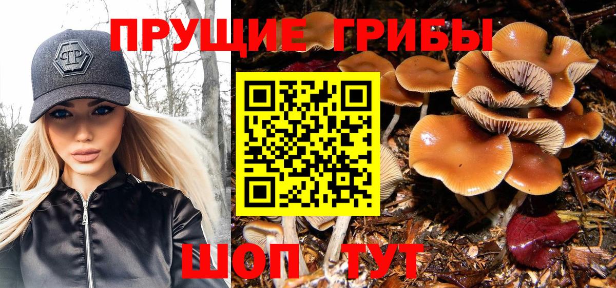 Псилоцибиновые грибы ЛСД  Вход с VPN  где можно купить   Луга 